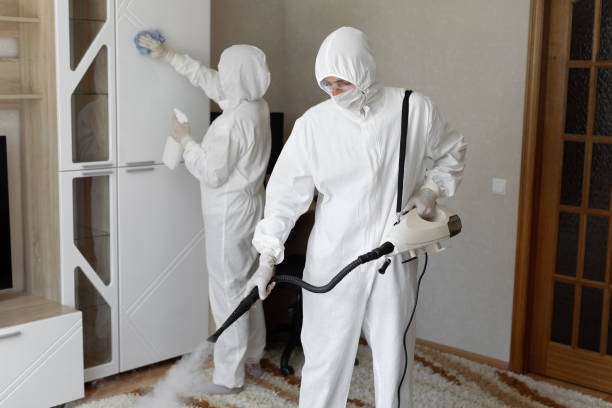 24/7 Emergency Odor Removal experts in Bridgewater, VA