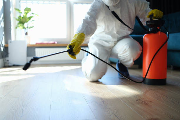 Reliable Odor Removal contractor in Bridgewater, VA by Dulley Family Biohazard Services